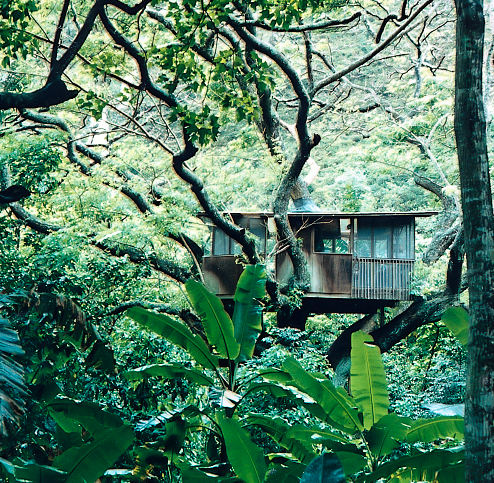 Waipio Valley Treehouse